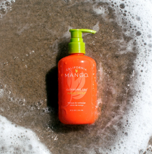 Load image into Gallery viewer, Mango Cleansing Hand Soap
