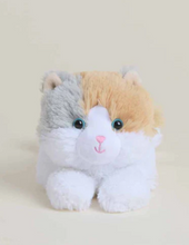Load image into Gallery viewer, Warmies® Juniors (9")
