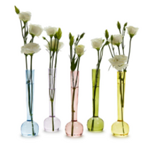 Load image into Gallery viewer, Spiral Hand Blown Vases
