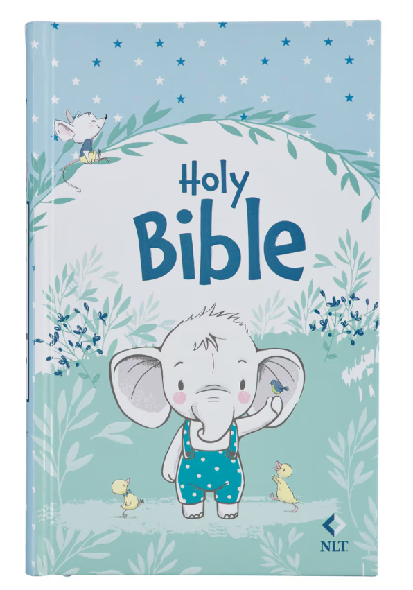 Kid's Bible