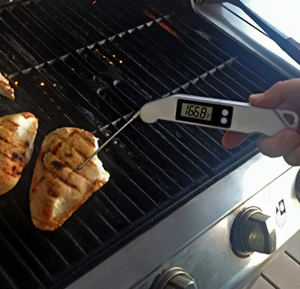 Digital Thermometer