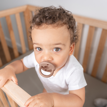 Load image into Gallery viewer, Baby Pacifier
