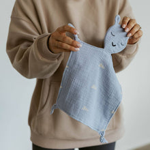 Load image into Gallery viewer, 100% Muslin Lovey - Windy
