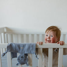 Load image into Gallery viewer, 100% Muslin Lovey - Windy
