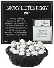 Load image into Gallery viewer, Lucky Little Pig
