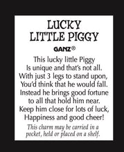 Load image into Gallery viewer, Lucky Little Pig
