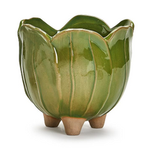 Load image into Gallery viewer, Petals Panache Cachepot

