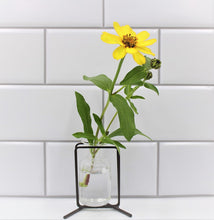 Load image into Gallery viewer, 3.5" Metal Stand with Glass Vase
