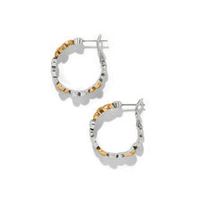 Load image into Gallery viewer, Brighton Pebble Edge Small Hoop Earrings
