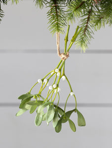 Natural Mistletoe Bundle