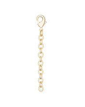 Load image into Gallery viewer, Kendra Scott Necklace Extender 2&quot; Lobster Clasps
