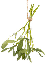 Load image into Gallery viewer, Natural Mistletoe Bundle
