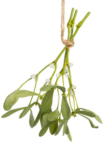Natural Mistletoe Bundle