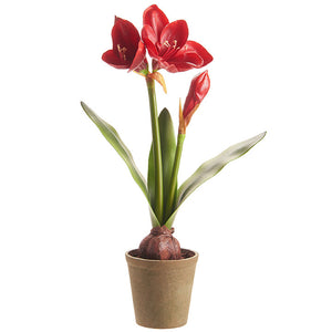 Real Touch Potted Amaryllis