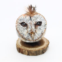 Load image into Gallery viewer, Owl Gourds
