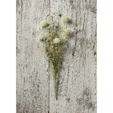 Load image into Gallery viewer, Thistle Mix White Pick
