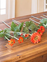 Load image into Gallery viewer, Zinnia Garden Stems
