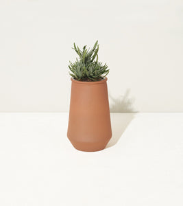 Tapered Tumbler - Lavender