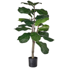 Load image into Gallery viewer, Potted Fiddle Leaf Fig Tree
