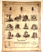 Load image into Gallery viewer, Bee Vintage Print

