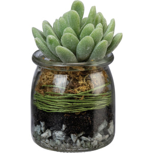 Jade Succulent Jar