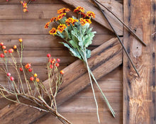 Load image into Gallery viewer, Chrysanthemum Stem

