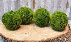 Handmade Moss Ball
