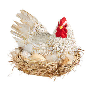 Chicken In Nest