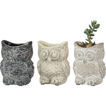 Load image into Gallery viewer, Cement Owl Planter
