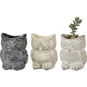 Cement Owl Planter