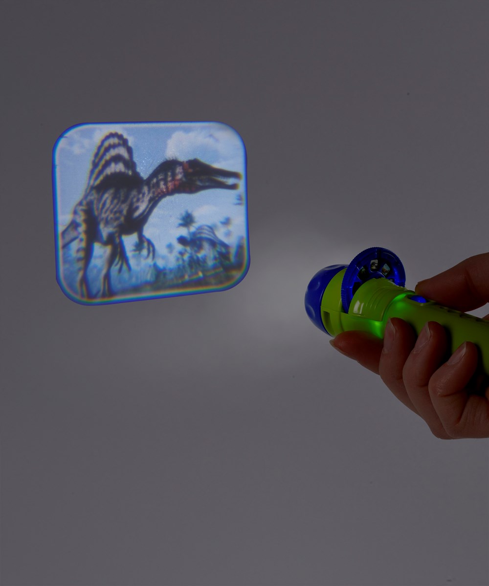 Flashlight Projector – Hartz Honey Hole