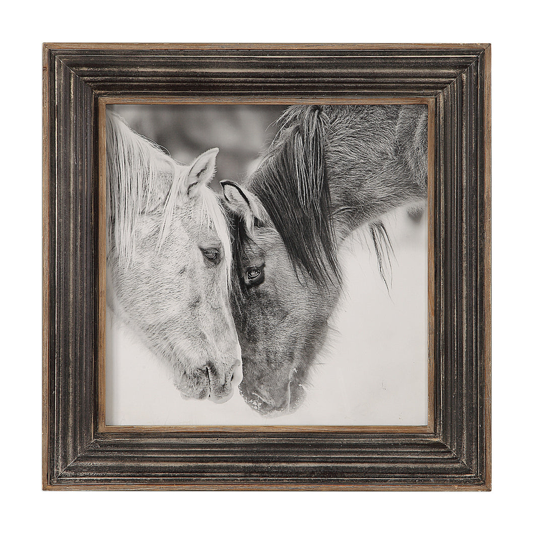 Black & White Horse Framed Art